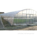 Tunnel greenhouse